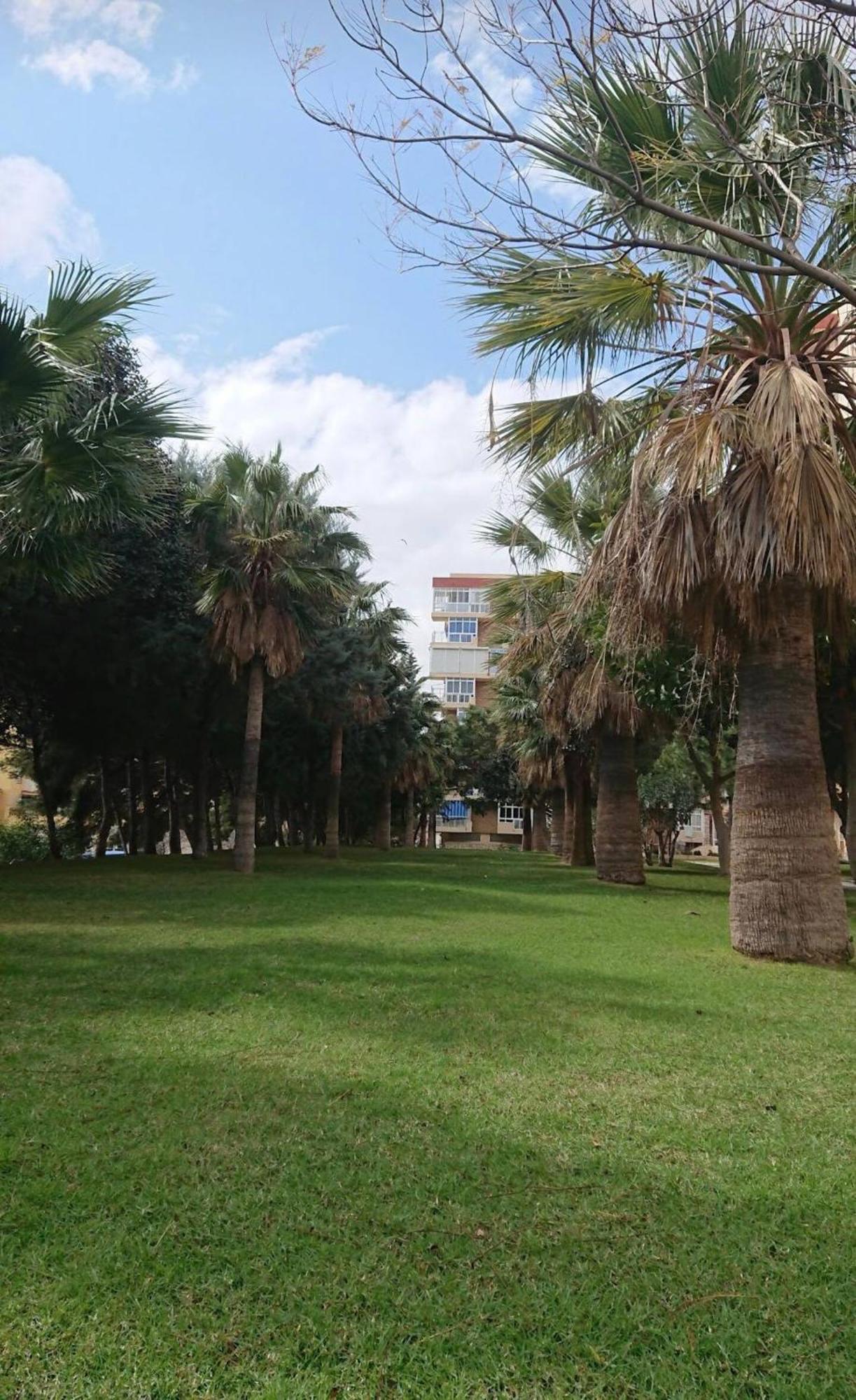 Hercules Paradise 531 Apartamento Con Vistas Al Mar Mediterraneo En Benalmadena A Pasos Del Centro Y Su Vibrante Zona Comercial Disfruta De Una Experiencia Unica En La Costa Del Sol Malaga Andalucia Well-Connected To The Airport Dış mekan fotoğraf